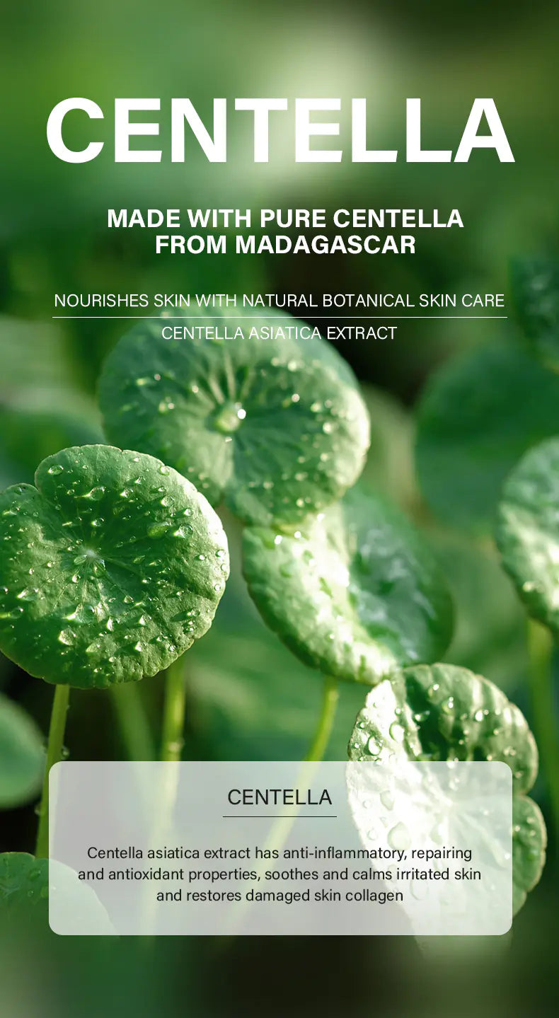 ✨ Set de Cuidado Facial de Centella Asiática – 5 Piezas para Hidratación, Calma y Renovación Total