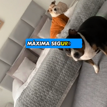 ALBEZON® PAWSTEP™ 3X – Escaleras de 3 Pasos para Mascotas | Acceso Seguro y Cómodo al Sofá o Cama