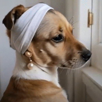 ALBEZON® PAWSTEP™ 3X – Escaleras de 3 Pasos para Mascotas | Acceso Seguro y Cómodo al Sofá o Cama